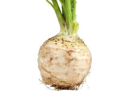 kapusta
